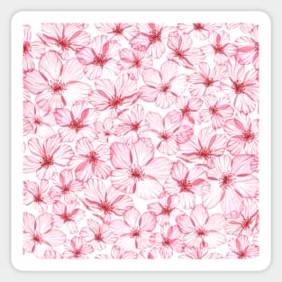 Cherry blossom flowers. Blooming Sakura. Romantic translucent watercolor flowers print Sticker